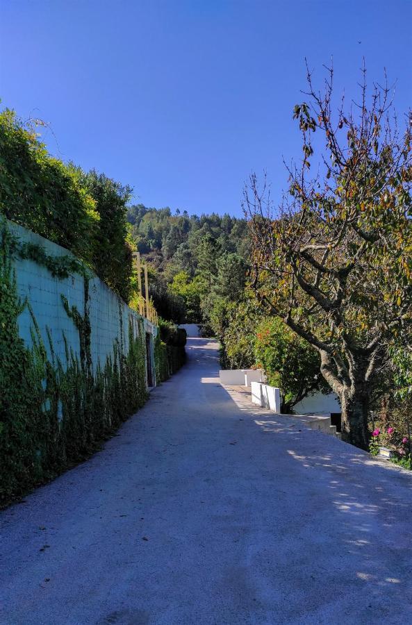 Pera Da Serra - Turismo No Espaco Rural Lousã المظهر الخارجي الصورة